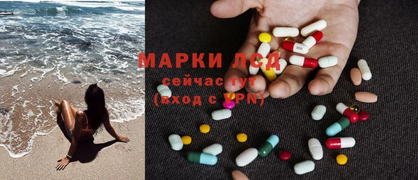 гашик Гусь-Хрустальный