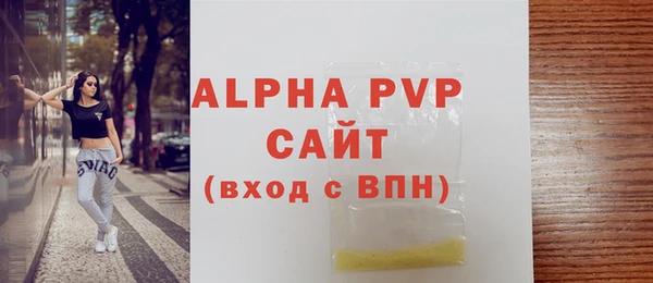 гашик Гусь-Хрустальный