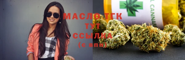 гашик Гусь-Хрустальный