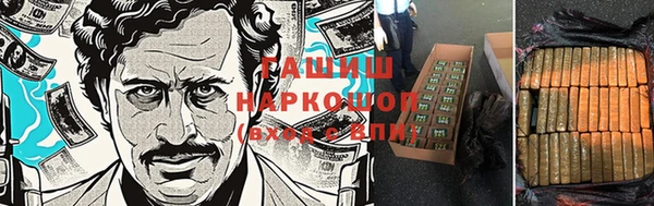 гашик Гусь-Хрустальный