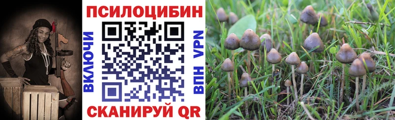 Купить закладки  Мариинск  Галлюциногенные грибы Cubensis 